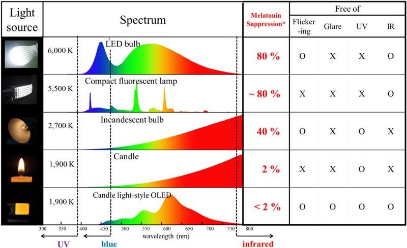 What You Need to Know About Blue Light and Health