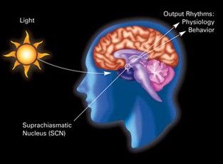 What You Need to Know About Blue Light and Health