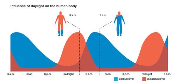 What You Need to Know About Blue Light and Health