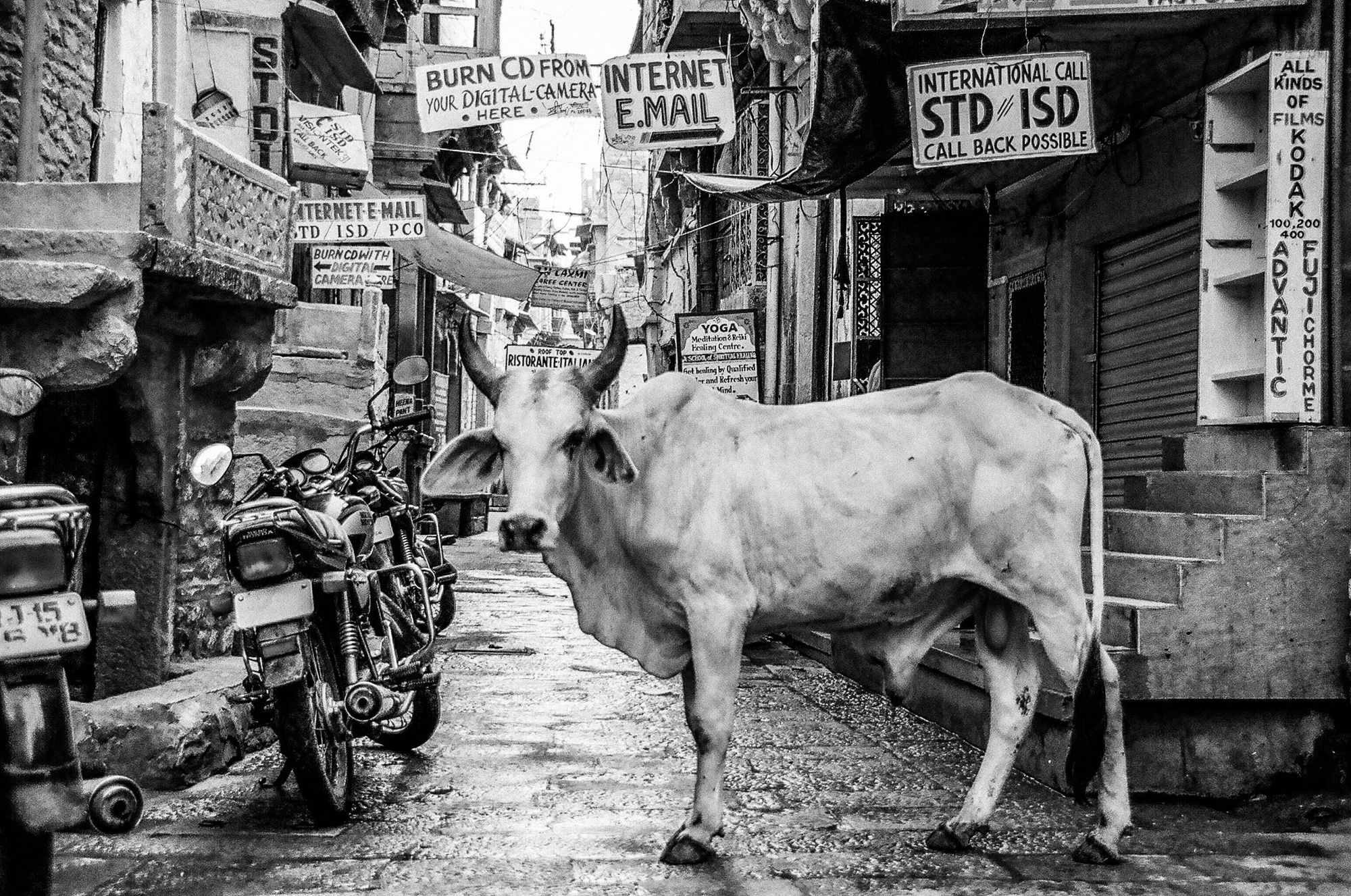 Marketing is Broken: Sacred Cows